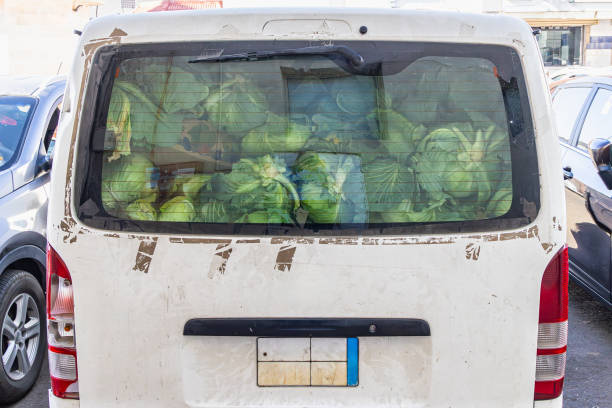 istock A van full of cabbages in Medina. 1996079697
