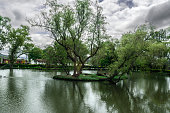 Lakeside with clouds and reflections, green