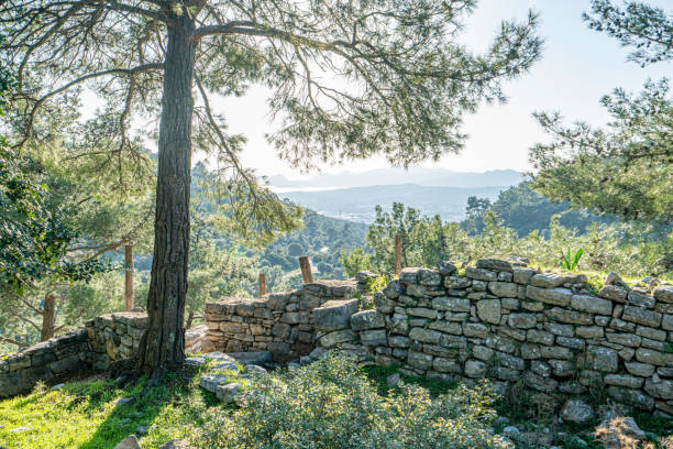 Scenic views from Pedasa (Pedasus, Pedasos), was a town of ancient Caria. It was a polis (city-state)and  was a member of the Delian League, near Bodrum.