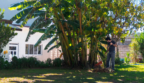 A Man sweeping garden lawn in elegant home
