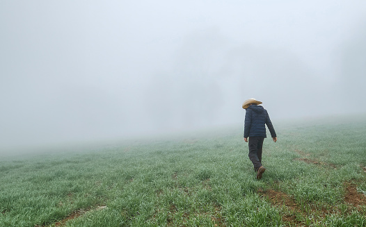 A Cowboy man walking among foggy forest with space for text