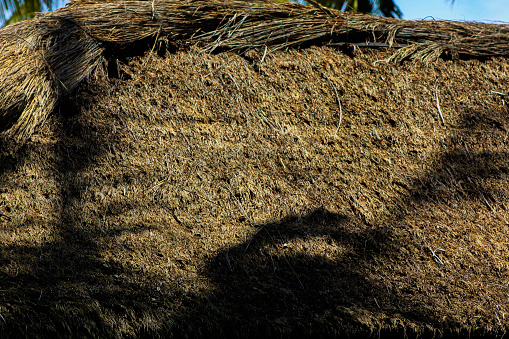 building roof background with thatch material