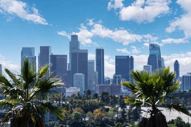 istock Los Angeles California Skyline with Palm Trees 1996284938