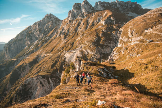 istock Diverse Friends Having Fun Hiking in the Mountains 1996377953