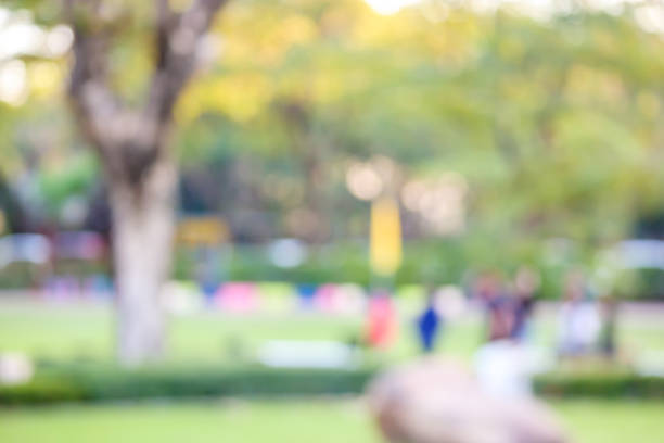 istock Green city park garden blur bokeh background 1996384306