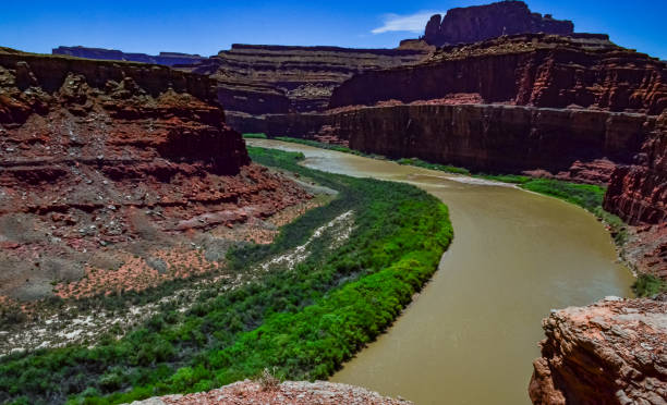 istock Colorado Riverbed, overgrown with green vegetation. 1996393481