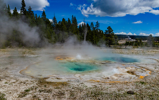 Boiling water bubbler Geyser. Active geyser with major eruptions. Yellowstone NP, Wyoming, USA