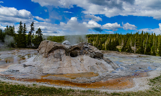 Boiling water bubbler Geyser. Active geyser with major eruptions. Yellowstone National Park, Wyoming, USA