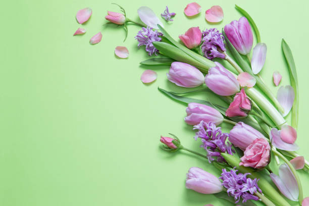 istock spring flowers on green paper background 1996396699