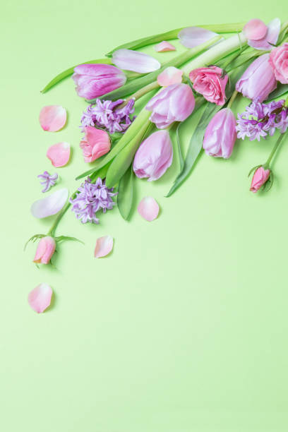 istock spring flowers on green paper background 1996396750