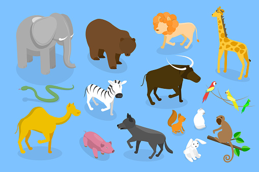 3D Isometric Flat Vector Set of Zoo Animals, WildLife Collection