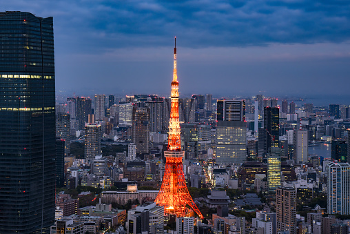 A photo of the Tokyo cityscape taken at night