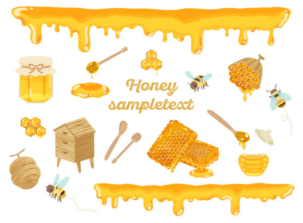 ilustraciones, imágenes clip art, dibujos animados e iconos de stock de conjunto de materiales de ilustración de abejas melíferas estilo acuarela - honey hexagon honeycomb spring