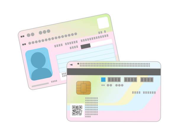 ilustraciones, imágenes clip art, dibujos animados e iconos de stock de mi número card_identification tarjeta - numero de seguridad social