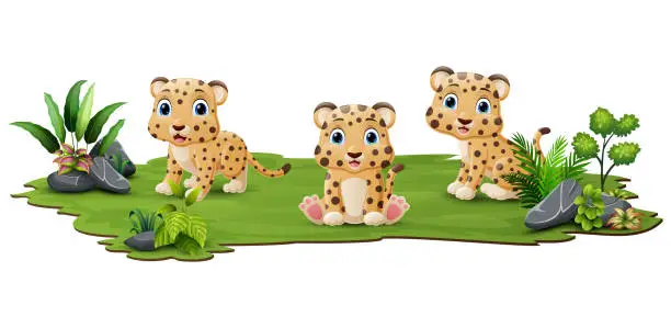 Vector illustration of Cute three leopard cartoon in the grass