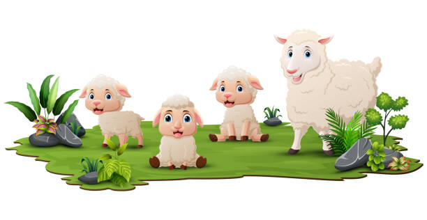 istock Cute family sheep cartoon in the grass 1996577686