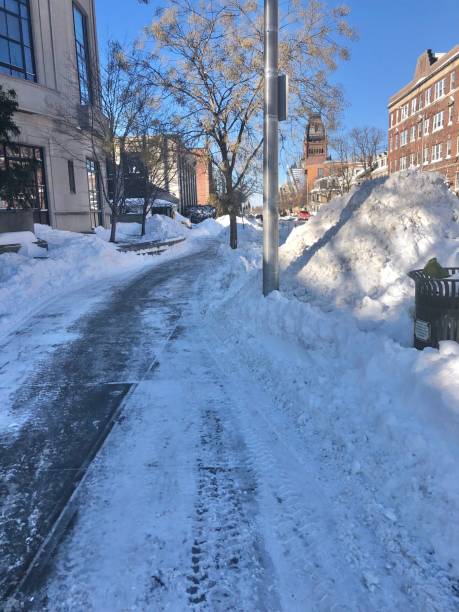 Snowy Sidewalk in Cambridge, MA