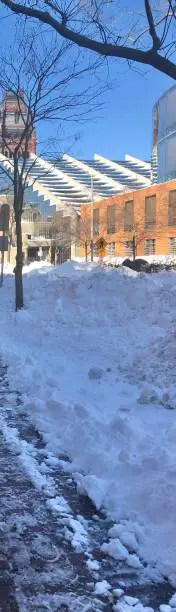 Photo of Cambridge Street, Cambridge, MA, in the Snow