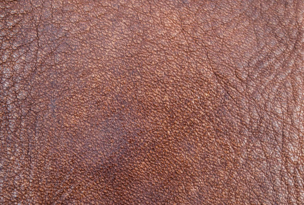 istock Full frame shot of the surface of leather texture and background. 1996601867