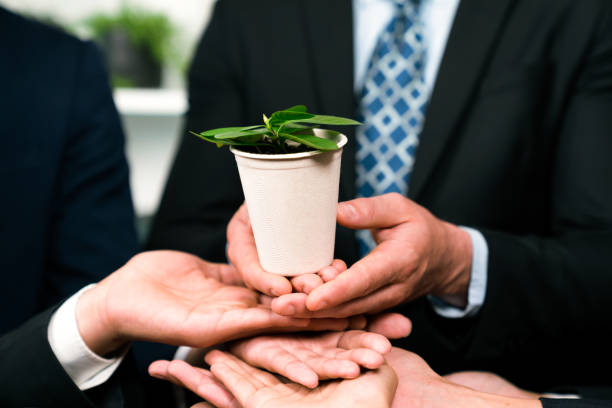 istock Eco-friendly business investment on forest regeneration. Quaint 1996707573
