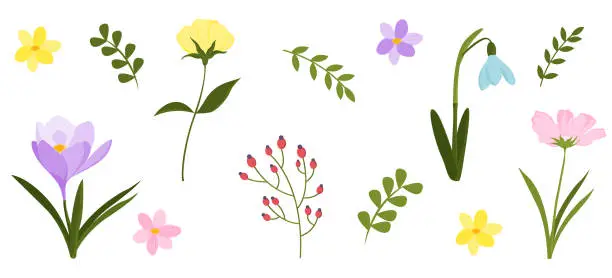 Vector illustration of trendy Hand drawn abstract wildflowers, set spring flowers and leaves, flat icons. Vector illustration