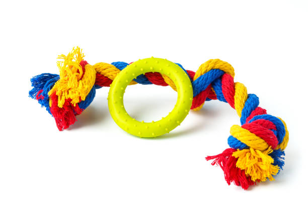 istock Dog pet toy isolated on white background 1996956973