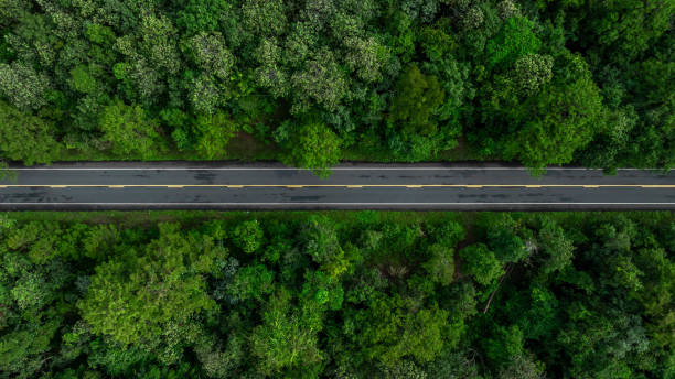 istock Aerial top view of green forest tree and global globe, Tropical rain forest tree ecosystem and healthy environment, Texture and background of green tree forest, Global warming save earth. 1996958568