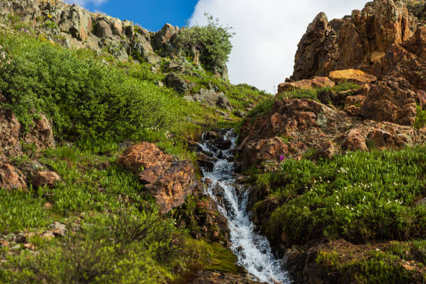 cascade qui descend à flanc de colline dans les montagnes avec des buissons verts - us supreme court photos et images de collection