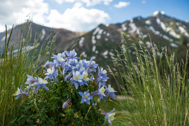 San Juan Mountains