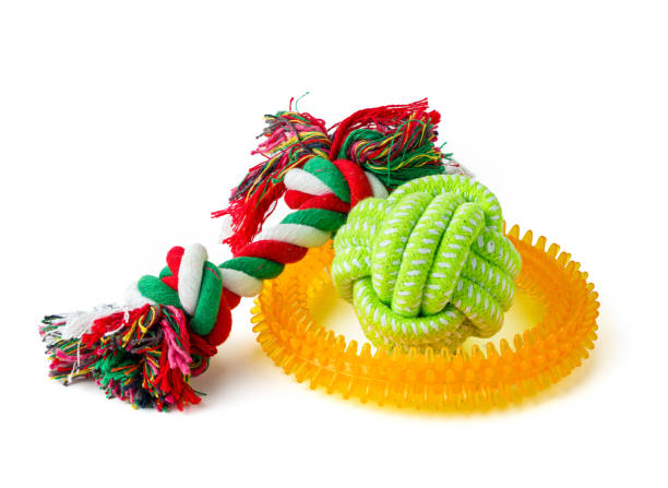 istock Dog pet toy isolated on white background 1996968662