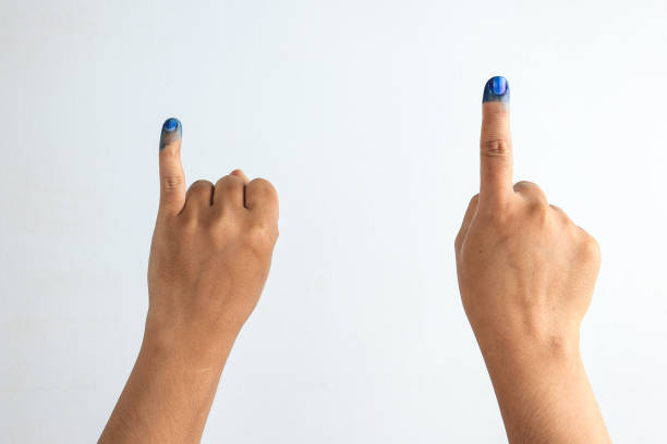 Two Mand Hand with Purple Mark Voting Ink on White Wall