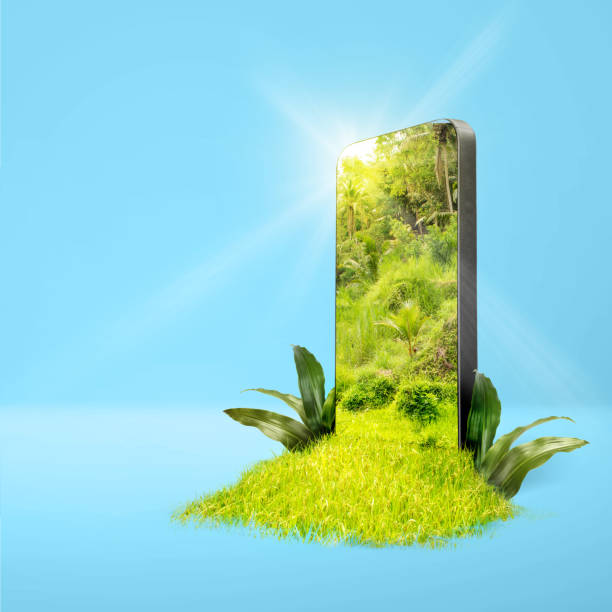 istock Field with green grass and trees with sunlight on the mobile phone screen 1996975512