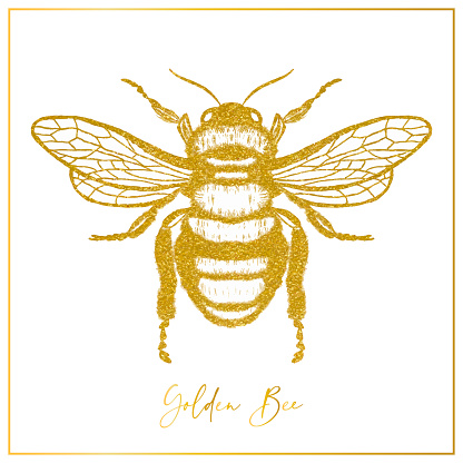 Hand Drawn Gold Colored Bee Poster. Design Element, Clip art, Template for Greeting and Invitation Cards.