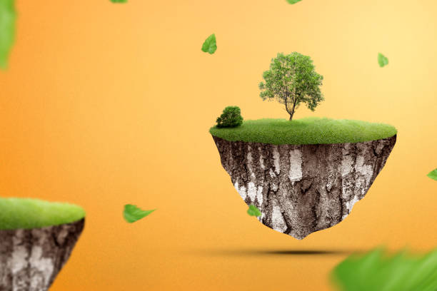 istock A grown tree on fertile land with green grass 1996980868