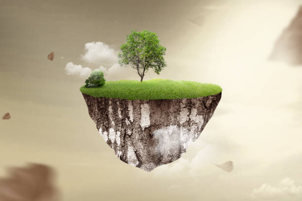 istock A grown tree on fertile land with green grass 1996981916