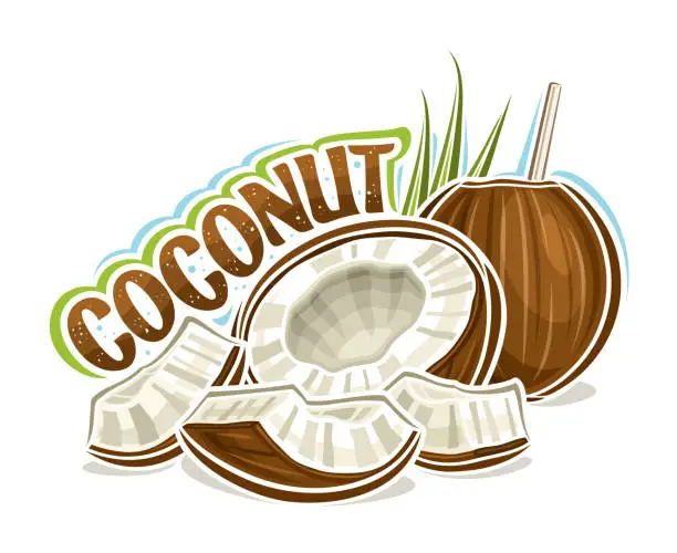 Vector illustration of Vector logo for Coconuts