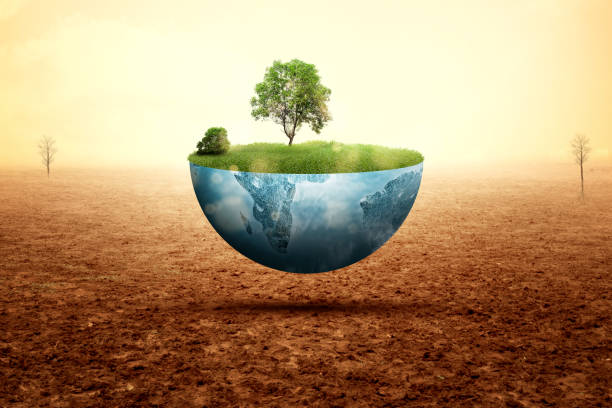 istock A grown tree on fertile land 1996989266