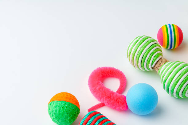 Cat toys isolated on white background studio shot close up