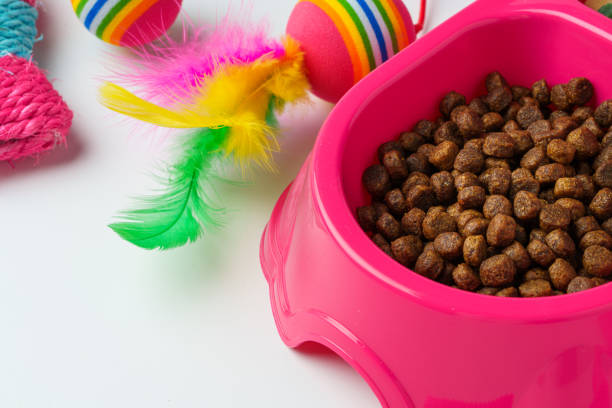 istock Bowl with dry pet food isolated on white background 1996996580