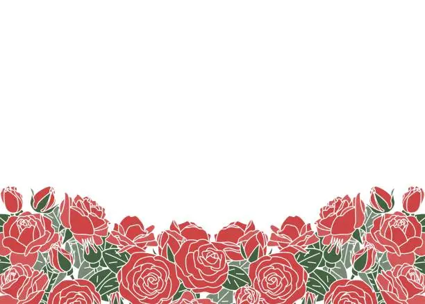 Vector illustration of Frame of Roses in Full Bloom,Rose Background