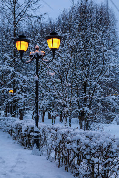 istock Vintage street lamp in an empty winter park 1997006161