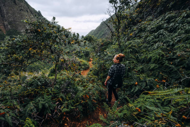 istock On the ridges of IOA  Valley hike 1997035387