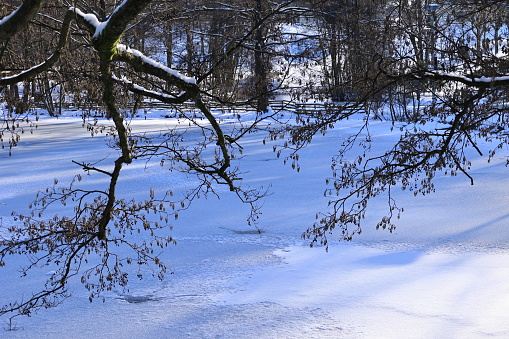 Januar 20, 2024, Iserlohn: View of the frozen Seilersee in Iserlohn in the Sauerland