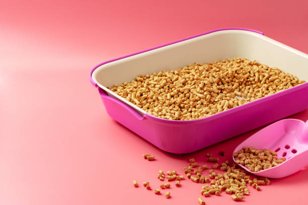 istock Pet litter box with bio filler on pink background 1997050023