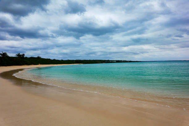 istock Scenic view of paradise beach with coral reef 1997073817