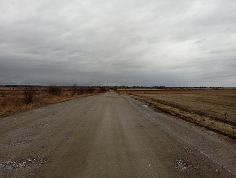 A field road made of crushed stone and sand through a spacious meadow overgrown with dry grass and bushes. A straight dirt road that stretches far beyond the horizon.