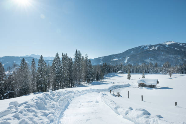 istock the perfect winter wonder land 1997082589