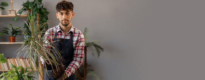 Portrait of an Arab man caring for houseplants in spring. Guy holding a flower with roots and looking at the camera. Hobby and gardening concept. Banner. Copy space