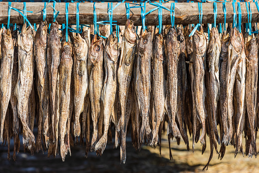 Image of smoked trout on a drying rack