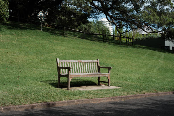Empty wooden bench in a park with grass and trees and a pedestrian walkway in front.